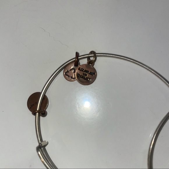 Alex and Ani bracelet bundle - Picture 2 of 2